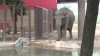 Embedded thumbnail for Asian Elephant Part 1