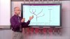 Embedded thumbnail for Science Review: Evolutionary Tree